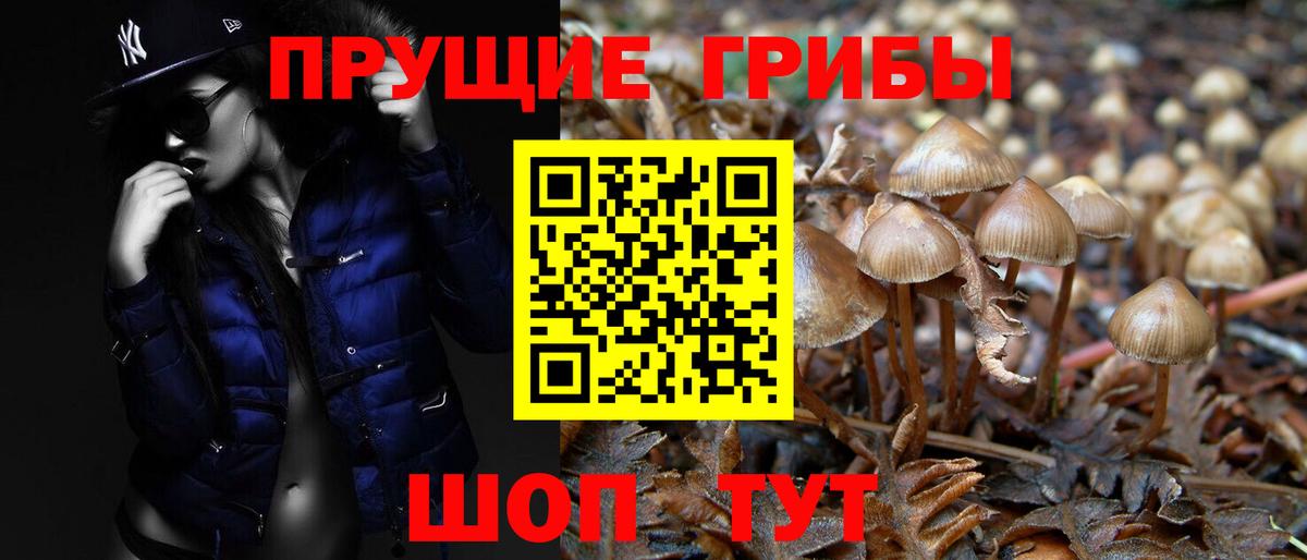 Москва  Галлюциногенные грибы мицелий  Вход с VPN 